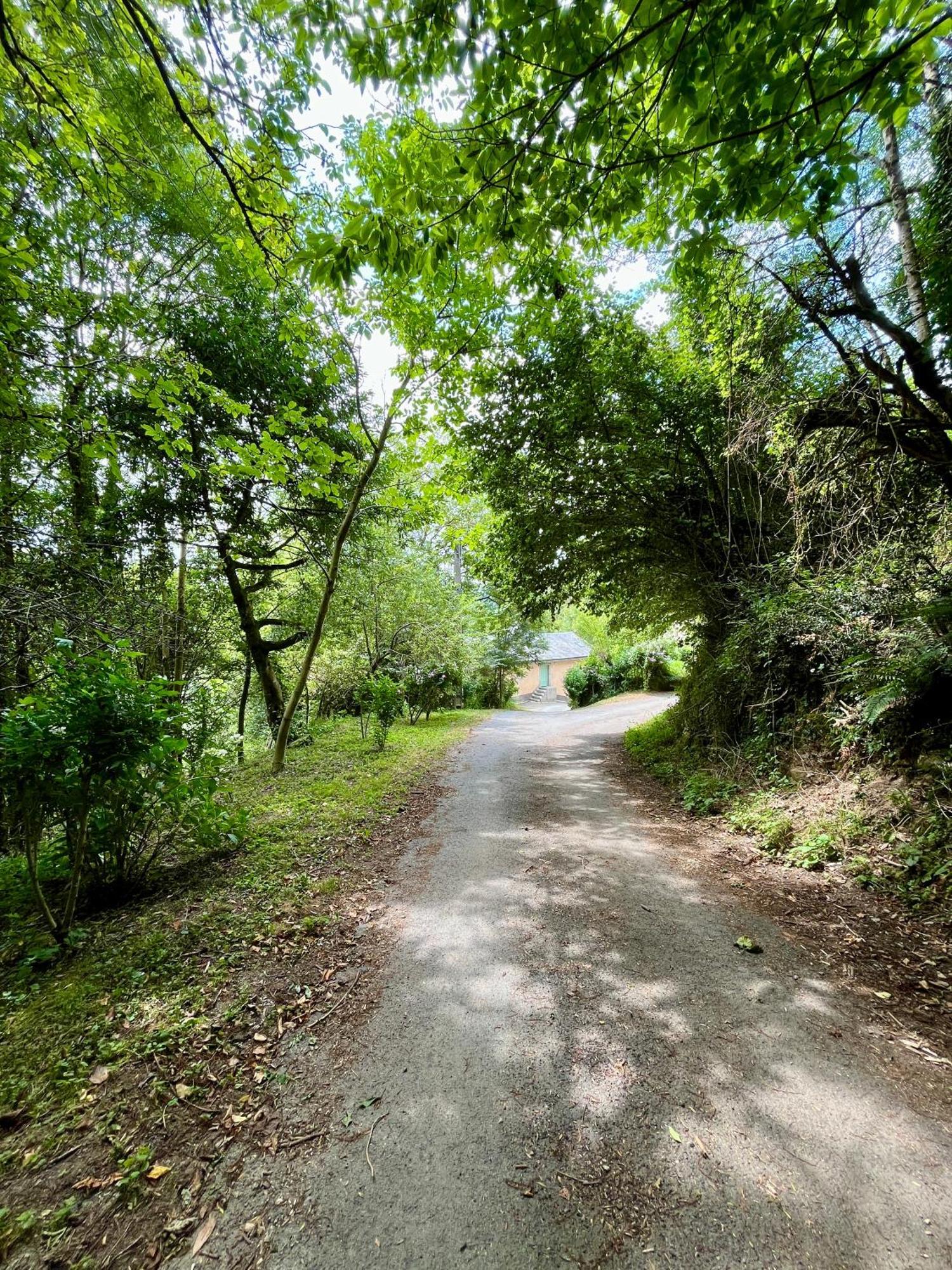 Parenthese En Foret - Baliveau Le Bez (Tarn)