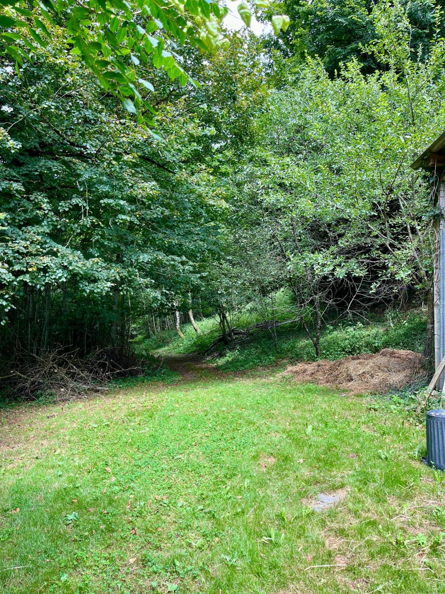 Parenthese En Foret - Baliveau Le Bez (Tarn)